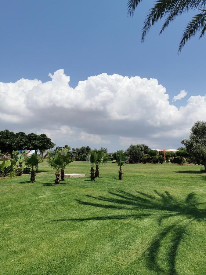 Green Apartment In Bafra Northern Cyprus Vokolidha Exterior photo