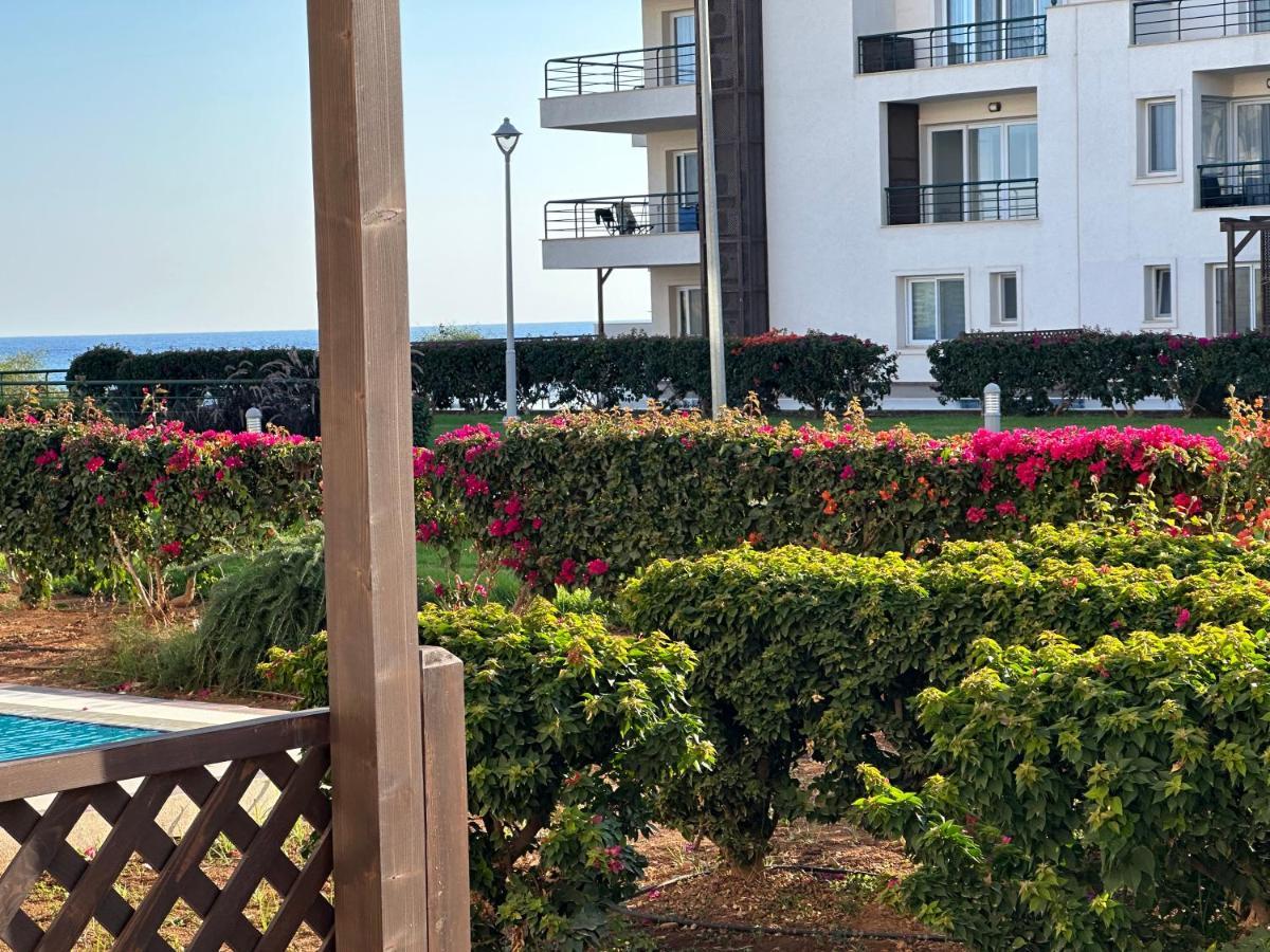 Green Apartment In Bafra Northern Cyprus Vokolidha Exterior photo